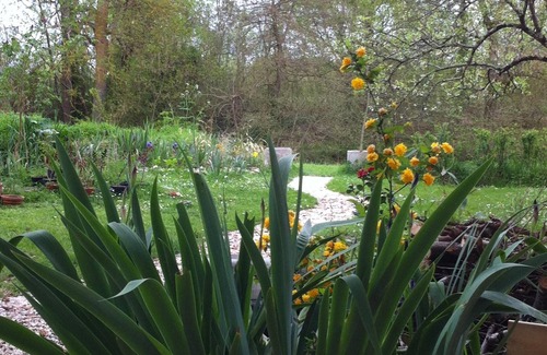 Gardonne Cottage | Iris Meadow Cottage in the midst of Dordogne's vineyards