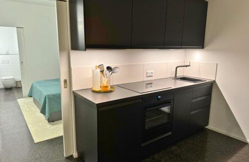 Waldshut-Tiengen Apartment | Isaak Apartment Stadtperle