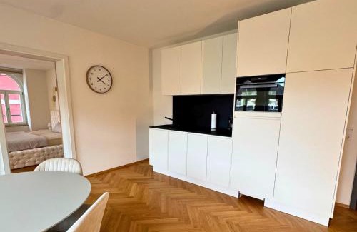 Waldshut-Tiengen Apartment | Isaak Apartment Löwenbau E1-W07