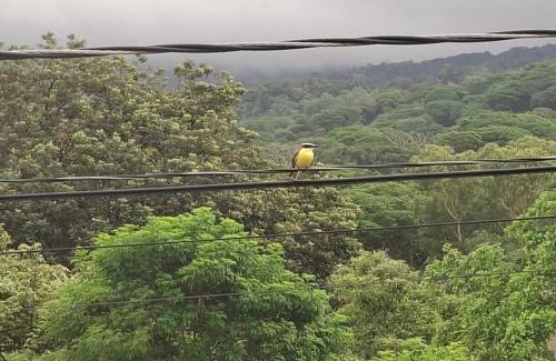 Matagalpa Apartment | Isabella House, Beautiful views of the mountains
