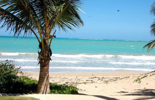 Isla Verde Apartment | Isla Verde by the Beach