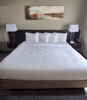 Lake Havasu City Hotel | Island Suites