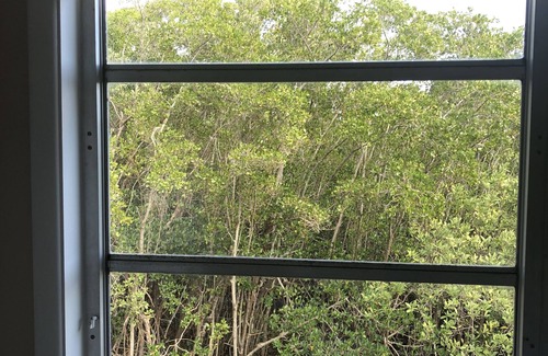 Saint James City Cottage | Island TreeTop House, Pet friendly
