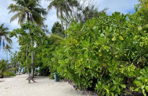 Goidhoo House | Island Zephyr