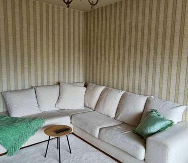Ylamylly Apartment | Iso kolmio, mahtavalla jokinäkymällä