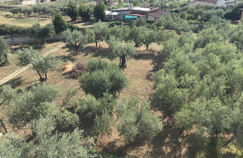 Sant'Angelo Romano Villa | Villa con terreno per Gruppi fino a 12 persone