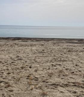 Contrada Taverna Apartment | Nel villaggio il Monolocale tra gli ulivi