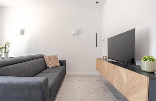 Latina Apartment | IVY - Boston