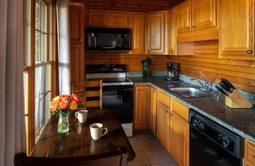 Steeles Tavern Cabin | Ivy Cabin, Hot tub and on site Spa!