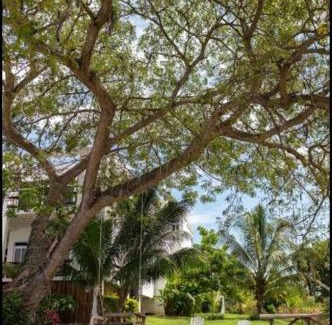 New Hope Villa | Ivy's Cove Beach Side Condo - Luxury Villa