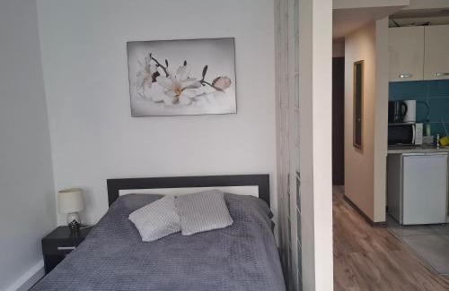 Iwonicz-Zdroj Apartment | Iwoniczanka
