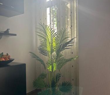 Shkoder Apartment | J & Nilson's Apartment In Shkodra Center