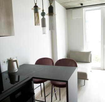 Vilnius city municipality Apartment | J. Ralio apartamentai (monkey)