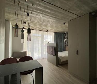 Vilnius city municipality Apartment | J. Ralio apartamentai (monkey)