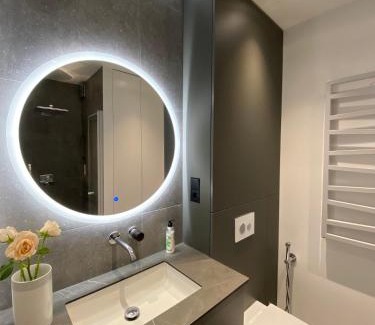 Vilnius city municipality Apartment | J. Ralio apartamentai (monkey)