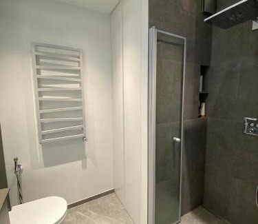 Vilnius city municipality Apartment | J. Ralio apartamentai (monkey)