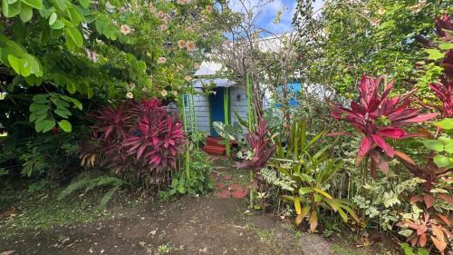 Calibishie Apartment | Jacoway Inn