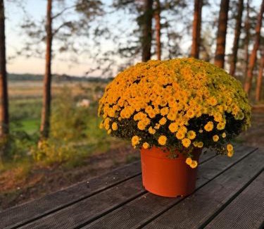 Plavniekkalns House | Jahbazaar Hideout