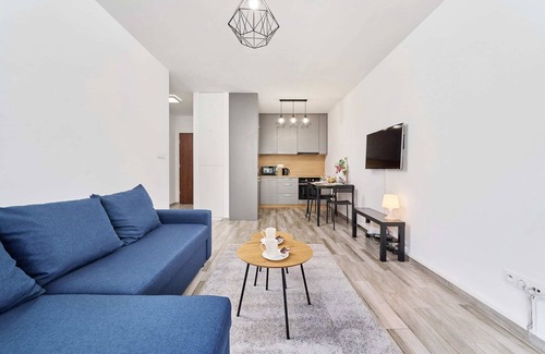 Psie Pole Apartment | James Cook 3 | Beautiful Apartment | Balcony