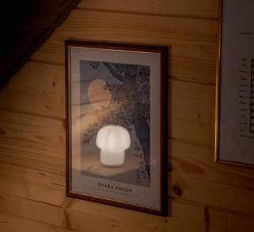 Narewka House | Jarzębinowa - Dom do wynajęcia na Podlasiu
