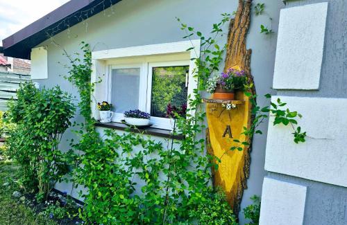 Czarna Dabrowka Resort | Jasień 77 A