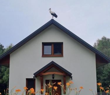 Tomaszow Lubelski House | Jaskółka Roztocze