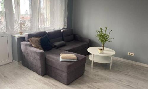 Klaipeda Apartment | Jaukus butas centre
