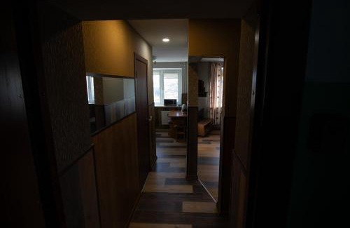 Siauliai City Center Apartment | Jaukus butas pačioje miesto širdyje