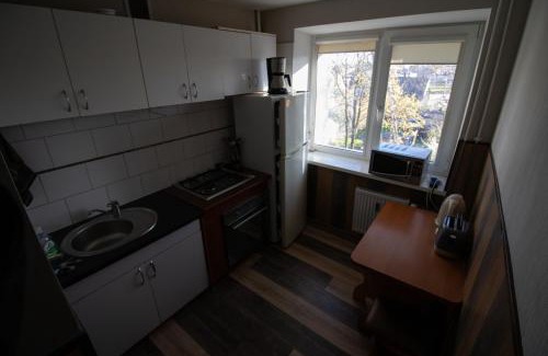 Siauliai City Center Apartment | Jaukus butas pačioje miesto širdyje