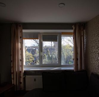 Siauliai City Center Apartment | Jaukus butas pačioje miesto širdyje