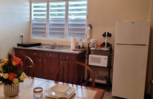 Jayuya Apartment | Jayuya - Cozy Aparment with Wi-Fi, Free Parking and A/C