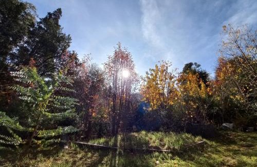 San Carlos de Bariloche House | Jen Patagonia
