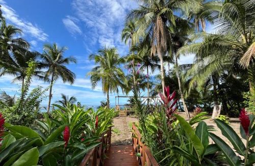 Nuqui Hotel | Jenené Lodge Nuquí