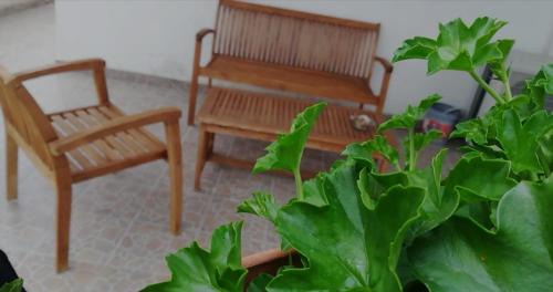 Marzano Appio Bed & Breakfast | Jenny's House b&b