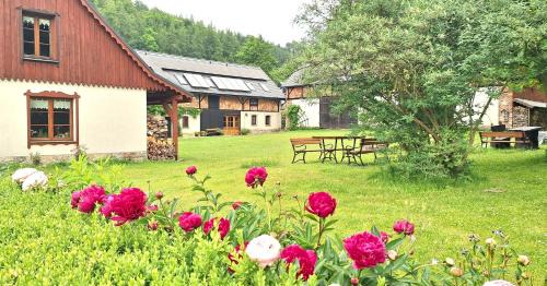 Miedzylesie House | Jesionówka Apartamenty