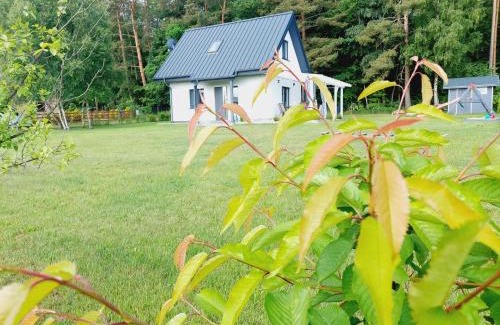 Choczewo House | JESZCZE BARDZIEJ DZIKI SAD