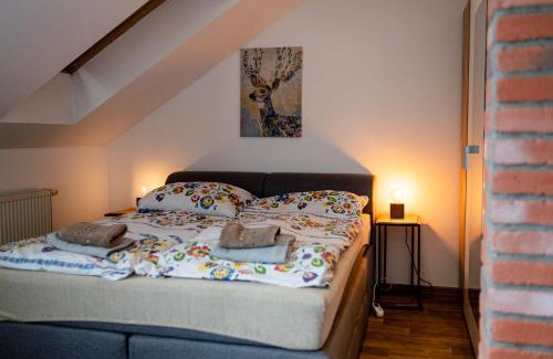 Planice House | JEZ&SPI Plánice