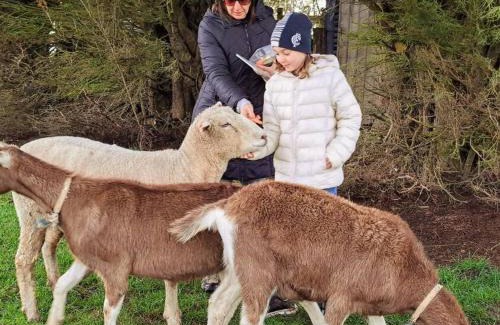 Buln Buln House | Jilly Park Farmstay Experience Discover Authentic Farm Life Complimentary Breakfast Included