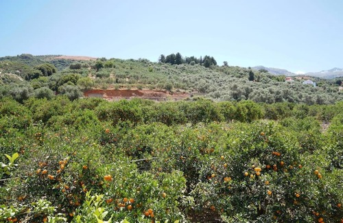 Agia Apartment | Joanna apt - Home near city