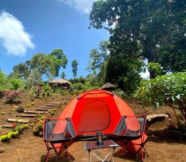 Argosari Other | Joe Nature Camp