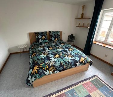 Saales Apartment | Joli appartement situé à saales