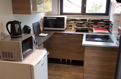 Granges-Aumontzey Apartment | Joli studio les brimbelles