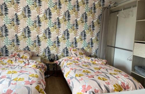 Auchy-les-Mines Apartment | Jolie petite maison 4-6 couchages