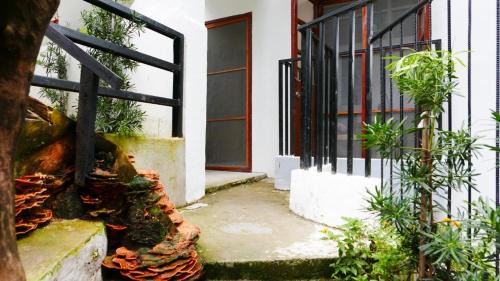 Consolacion Apartment | JSB Residences Cebu B-flat