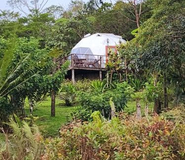 Santa Maria Other | Juan's Place