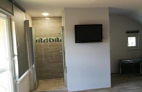 Vonyarcvashegy Apartment | Judit Apartman