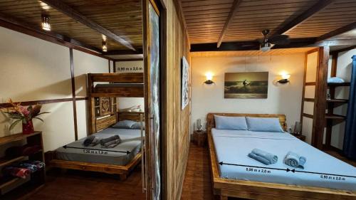 Bocas del Toro Cabin | Jungle Bluff Beach Paradise - Jungle House