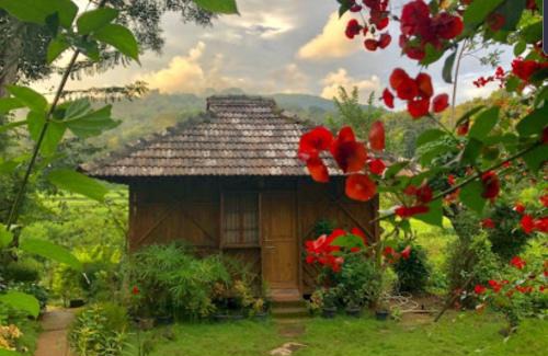 Kaimane Cabin | Jungle Retreat Wayanad