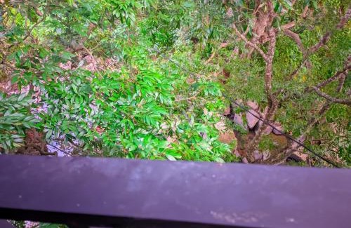 Ella House | Jungle River Heaven Ella