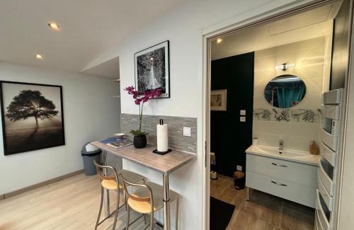 Henriville Apartment | Jungle Studio - 2P à 4P -Henriville